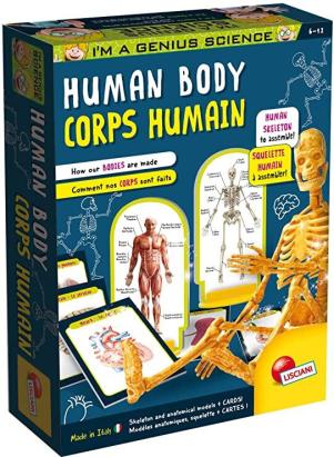 Experimentele micului geniu - Corpul uman PlayLearn Toys